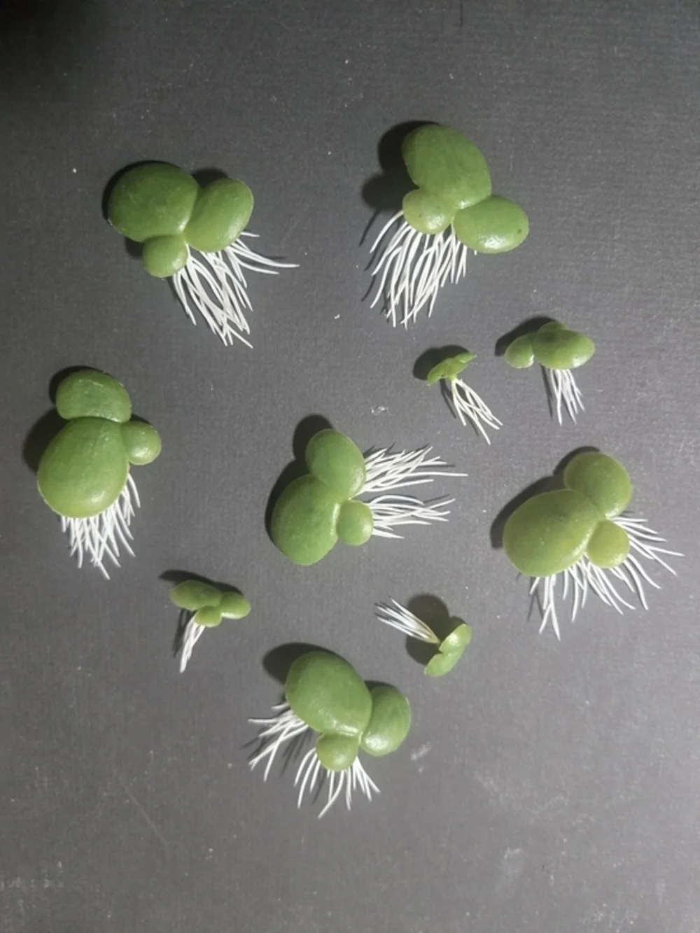 Assorted Artificial Aquarium Plants - 22 Pieces